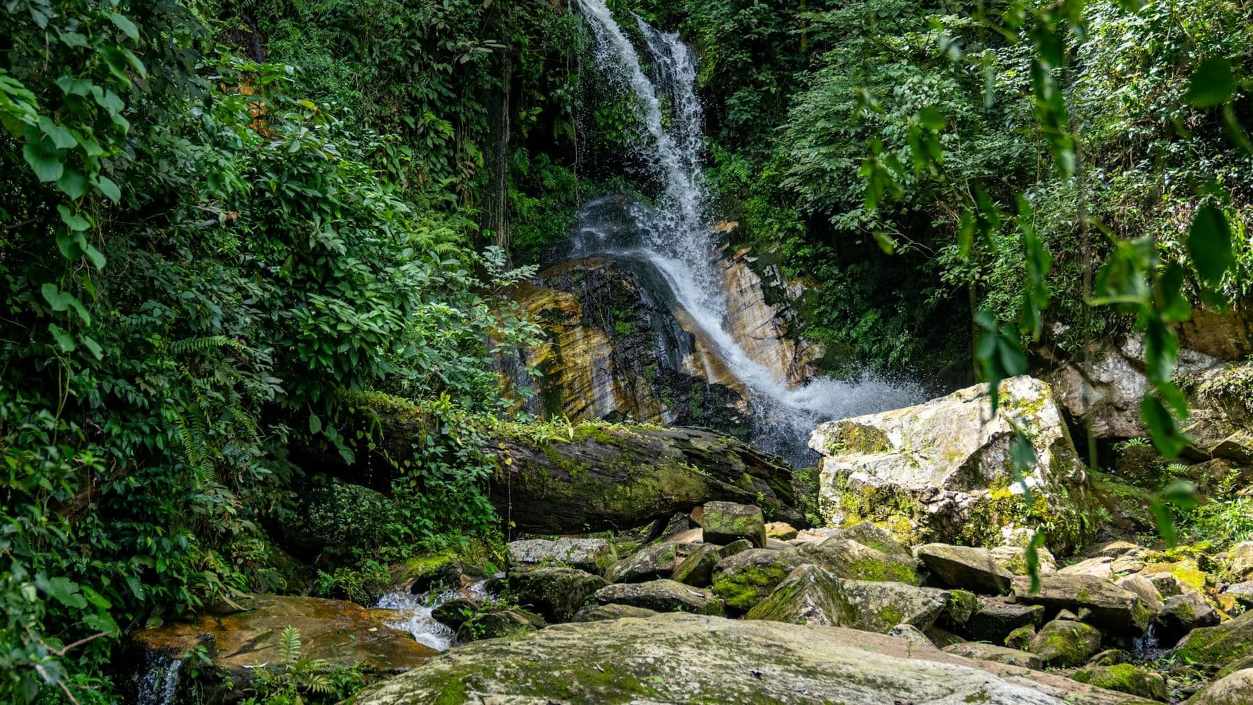 Photo: Ayoola Salako / Unsplash A waterfall running over rocks through thick green forest